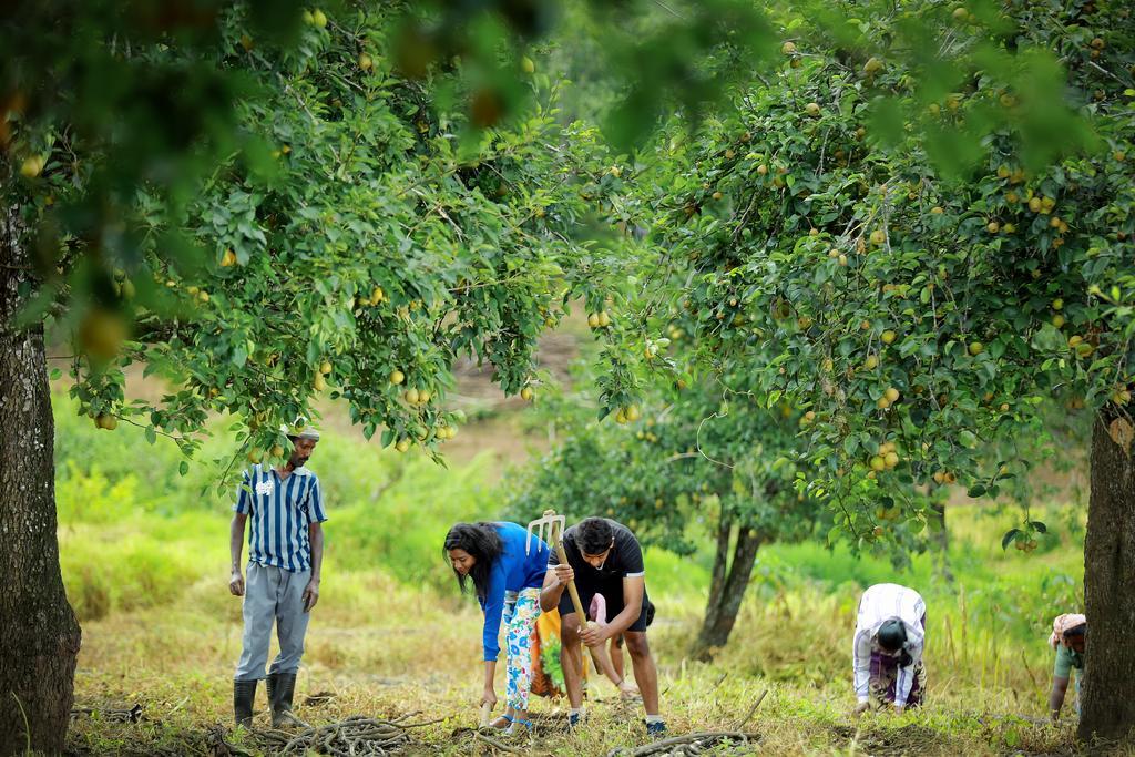 Vila The Pear County Kodaikanal Exteriér fotografie