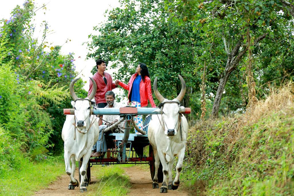 Vila The Pear County Kodaikanal Exteriér fotografie