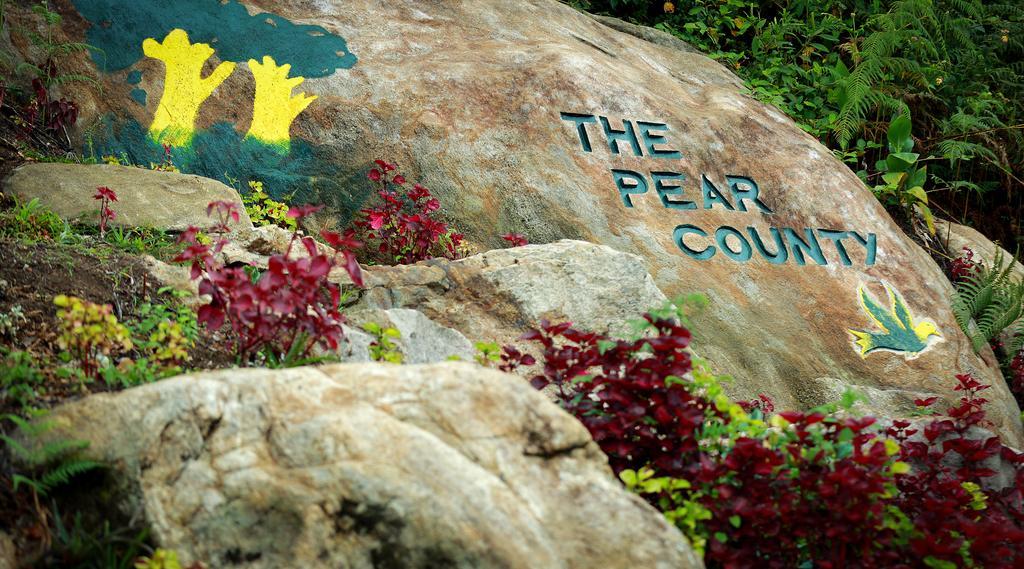 Vila The Pear County Kodaikanal Exteriér fotografie