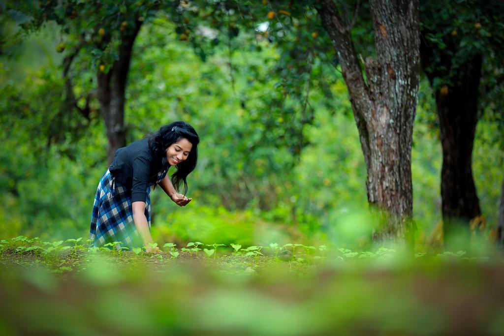 Vila The Pear County Kodaikanal Exteriér fotografie